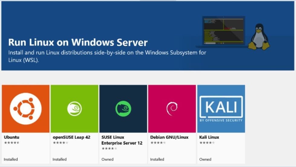 Run Linux on Windows Server