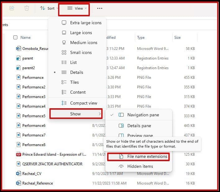 How-to-Show-or-Hide-File-Extensions-on-Windows-11-file-name-extension