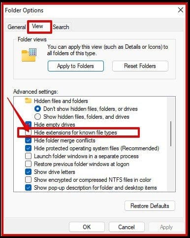 How-to-Show-or-Hide-File-Extensions-on-Windows-11-folder-options