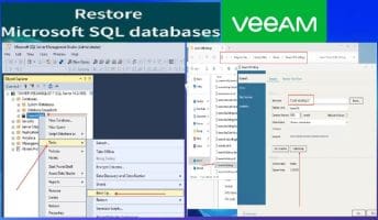 Migrate SQL Server database to a new SQL instance